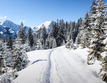 bognerhof-winterwandern